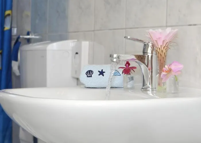 Marini Dvori 트로기르